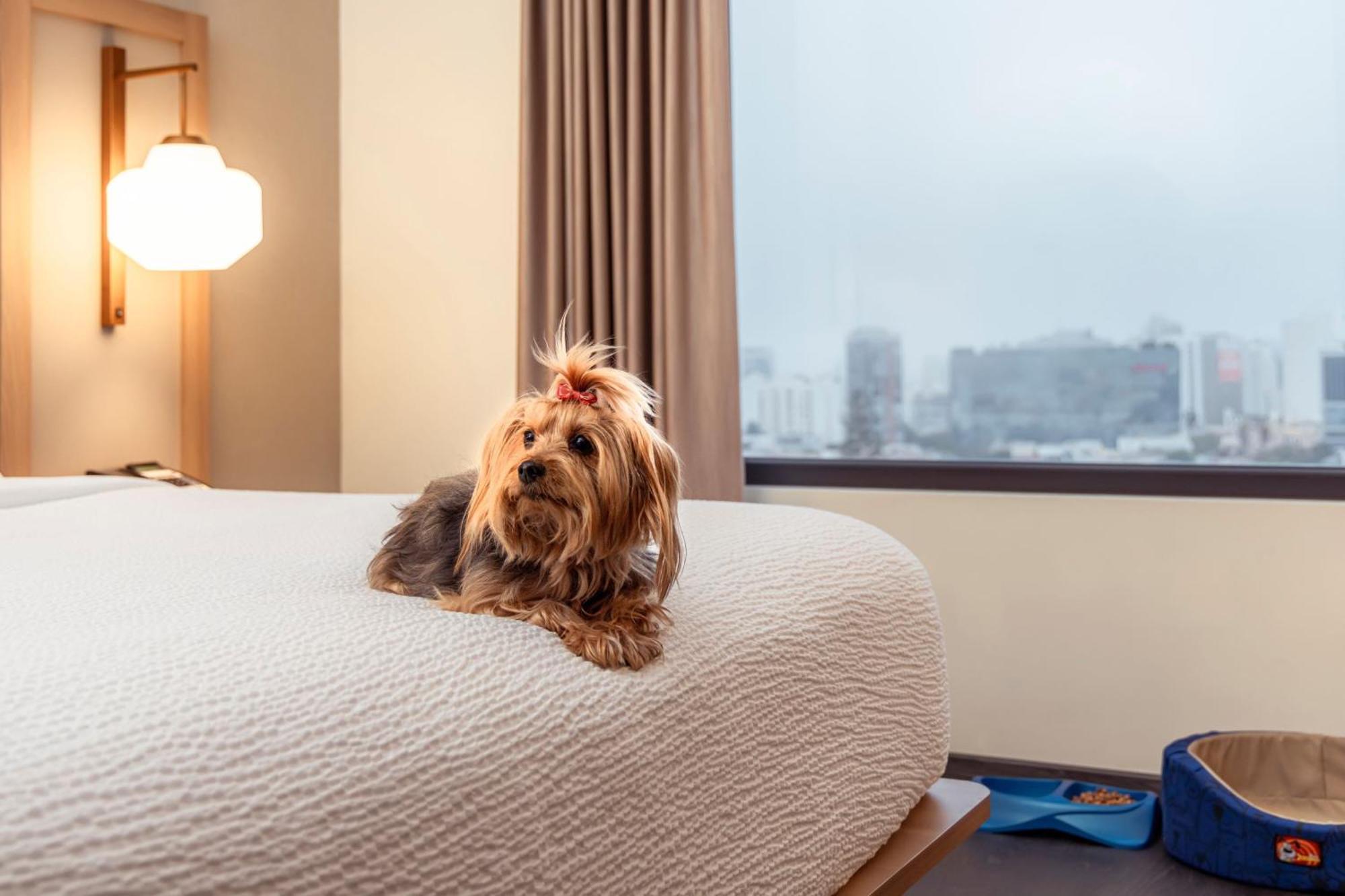 Fairfield By Marriott Lima Miraflores Bagian luar foto